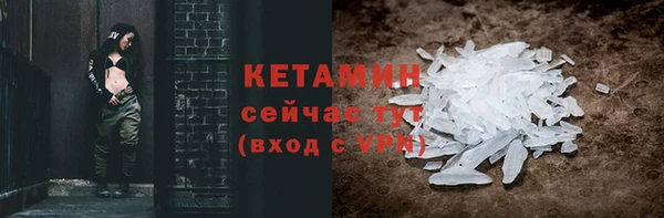 прущие грибы Абинск