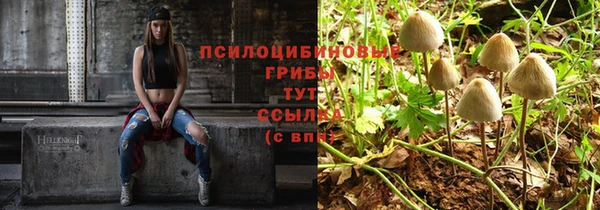дмт Алексеевка