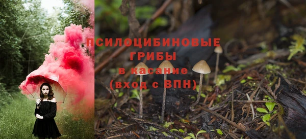 скорость Алзамай