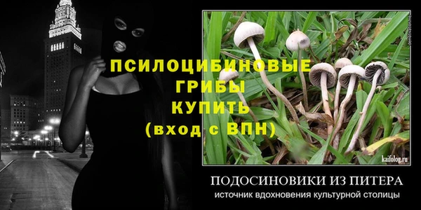 дмт Алексеевка