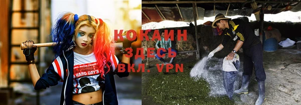 скорость Алзамай